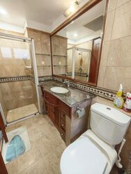 Dover Parkview (D5), Condominium #504605251